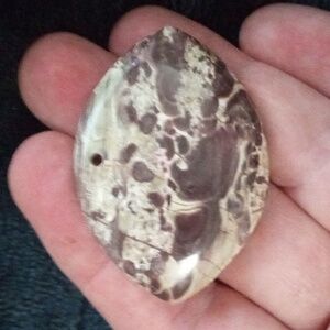 Eye Shape Coconut Jasper Pendant